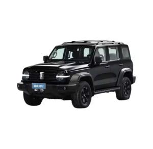 China 2024 Great Wall Gwm Tank 300 2.0T Petrol Fuel 4Wd Vehicle Suv Phev Hybrid Ev City Version factory