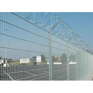 Electro Galvanized Wire Mesh Fence 2.5mm Wire 50x100mm Mesh