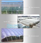 200 Micron Uv Resistant Film Greenhouse Perforated Mulch Agricultural Film