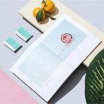 PP lamination Picture Book Printing Paperboard Custom Journal Printing