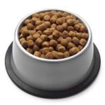 Multifunctional Dry Kibble Pet Food Extrusion Equipment for Food and Beverage