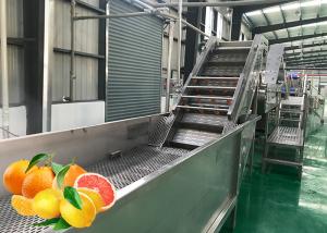 China Professional Tangerine Citrus Processing Equipment 5T/H ISO Certificate factory