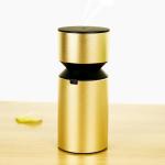 Battery Powered No Water Ultrasonic Scent Nebulizer