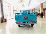250CC Motorized Cargo Tricycle with 3 Wheel Motorcycle Trike Gasoline from