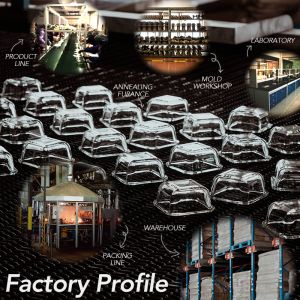 Borosilicate Glass Bakeware with PP Lid 1000ml to 3600ml