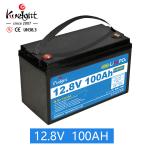 LiFePO4 12.8v 100ah Lithium Ion Battery Pack For Golf Cart Solar Marine