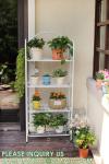 Plant Stand Indoor Outdoor, Plant Shelf Multiple Flower Pot Holder, Metal