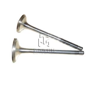 China Intake Valve 04280404 04280052 4280404 4280052 0428 0404 0428 0052 Exhaust Valve 04280049 0428 0049 4280049 for deutz BFM1011 FL1011 Engine factory