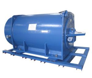China High Voltage Explosion-proof Three-phase Induction Motor factory