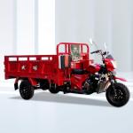 250CC Closed Box Three Wheel Cargo Motorcycle 1200kg Loading Capacity 5.0-12