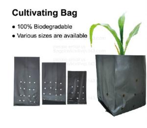 China Planter Bags, Grow Bags, Cultivating Bags, Nursery Pot, Greenhouse, Agricultural Film, Horticulture Garden factory