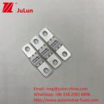 A121601-250A A121601-200A ASTM Copper Automotive Blade Fuse For High Current EV