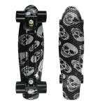 Complete 22 Inch Penny Complete Skateboards Plastic Printing Deck For Kids