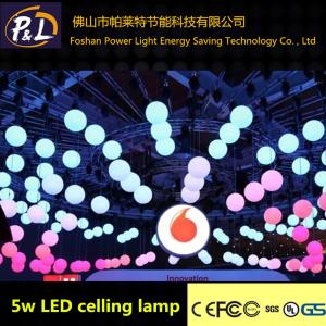 China Outdoor Christmas Lights RGB LED Ceiling Lamp factory