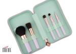 Beauty Brush With Waterproof Bag Package 5 piece Personal Brush