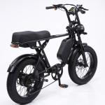 48V 750W Motor Electric Hybrid Bike Full Suspension 20 Inch Fat Tire Ebike 17Ah