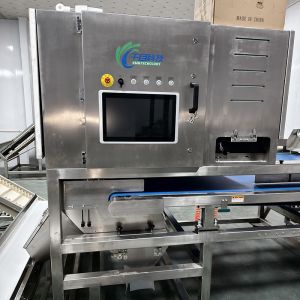 China Intelligent And Efficient Auricularia Sorter: Precise Sorting, New Choice For Improving Quality factory