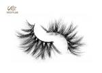 Thick Curling Hair Black Color 0.06mm 6D Lashes