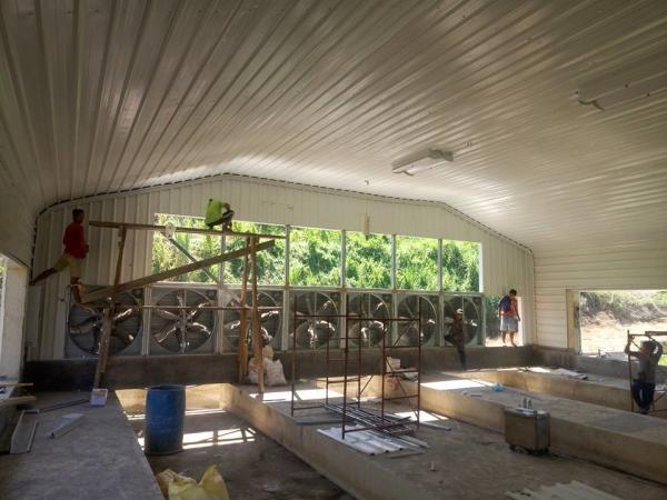 Prefab Light Steel Structure Poultry House Galvanized Coating Steel Frame