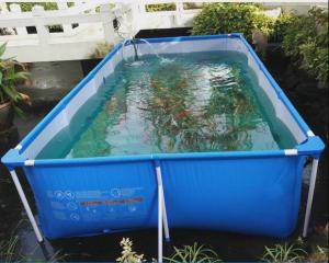 China Wholesale Pvc Fish Tank factory