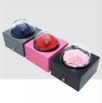 Real Preserved Rose Flower Single Large Rose in Drawer Gift Box for Decoration