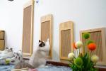 Durable Sisal Wall Mounted Cat Scratcher Post Place Floor 40*30cm 30*76cm 40