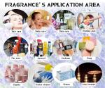 Men Perfume Fragrance Oil Designer Perfume Oils Fragrance Long Lasting