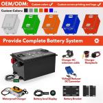 Waterproof Standard IP67 ODM EV Lithium Battery Pack For AGV 24V 48V 60V 72V 80V