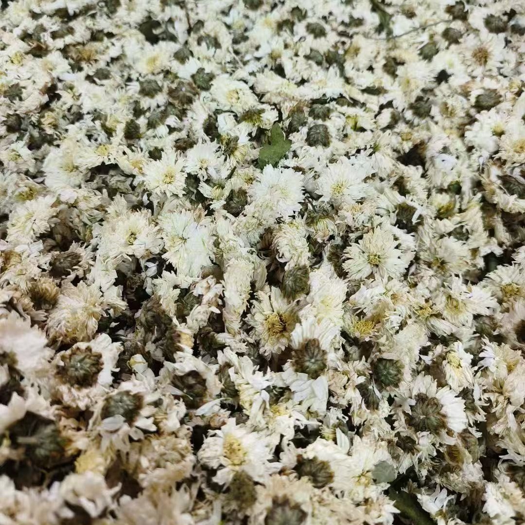 China Natural Cultivation Dried Chrysanthemum Tea Chrysanthemum Flower Tea factory