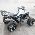 8" Rim 250cc Electric Start Youth Racing ATV Water Cooled Atv With Front Double