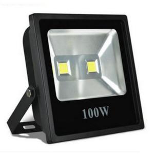 China IP66 COB LED Garden Light Fixtures 100W Luminous Efficiency Light Control factory