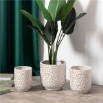 New arrival indoor outdoor desktop decoration plant pots custom luxury ceramic