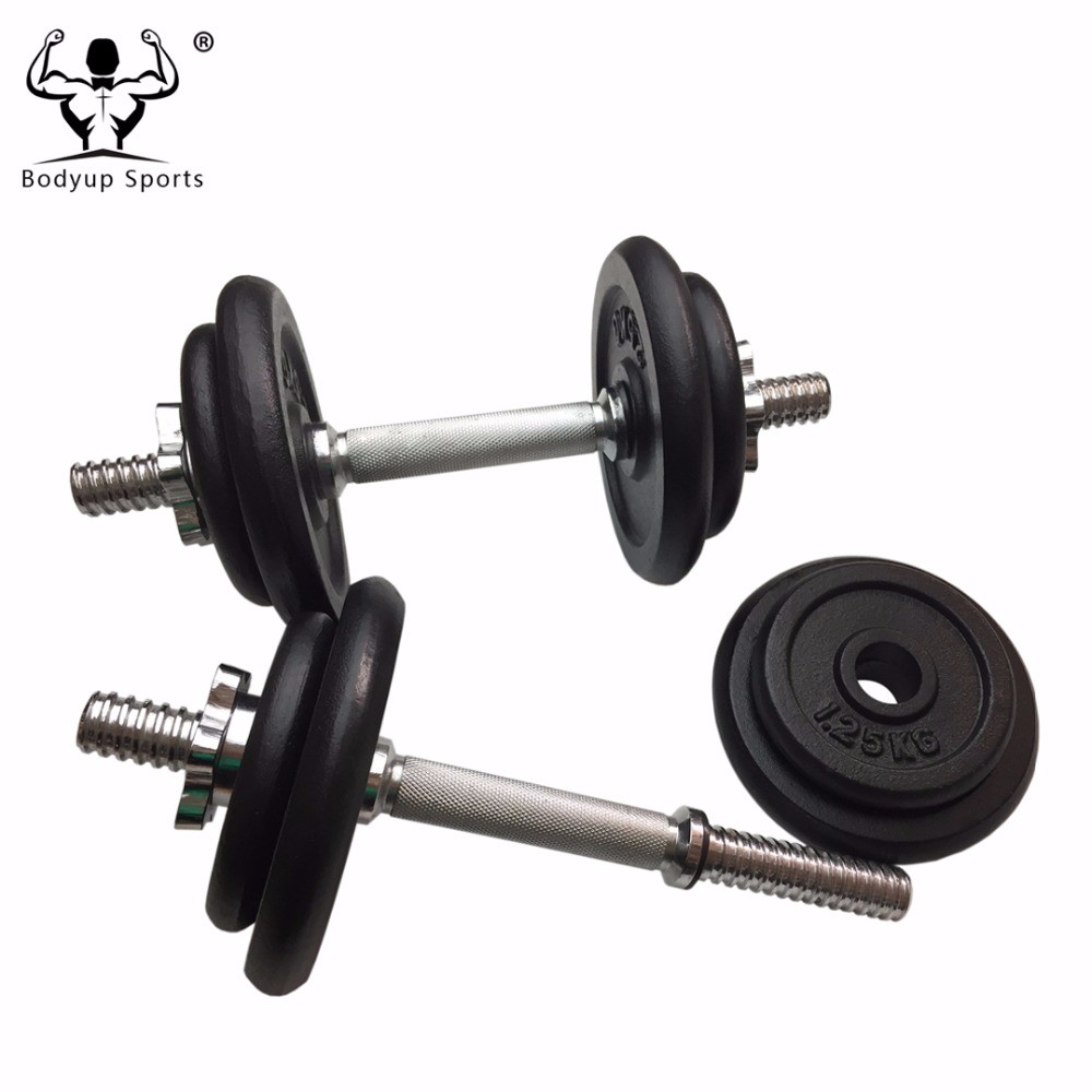 Cast Iron Black Painting Standard Weight Plate / Weight Disc