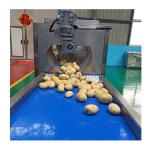 Stainless Steel 304 Frozen French Fries Production Line Finger Potato Chips