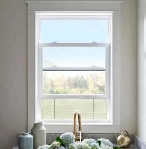China White UPVC Single Hung Vinyl Replacement Windows With Mosquito Net American Style factory