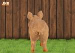 Home Decor Life Size Polyresin Animal Figurines Pig Sculpture Floor Statue