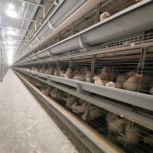 China Hot Galvanizing Poultry Farm Cage 6 Tiers Chicken Steel Cage factory