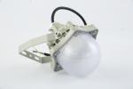 GYD8201,Explosion proof platform light,EAC,ATEX,IP66,WF2,used for Zone2&21,22