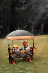 Removable Canopy Green Iron Collapsible Wagon Cart for Outdoor Sports and