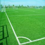 50mm Football Synthetic Grass / Field Playground Artificial Grass 12000dtex