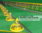 Poultry Equipment Chicken Feeders Drinkers Poultry Automatic Animal Feeders
