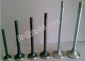 China 6DS1 6DS3 6DS7 6DS7C Diesel Engine Valve For Mitsubishi Fuso Canter factory