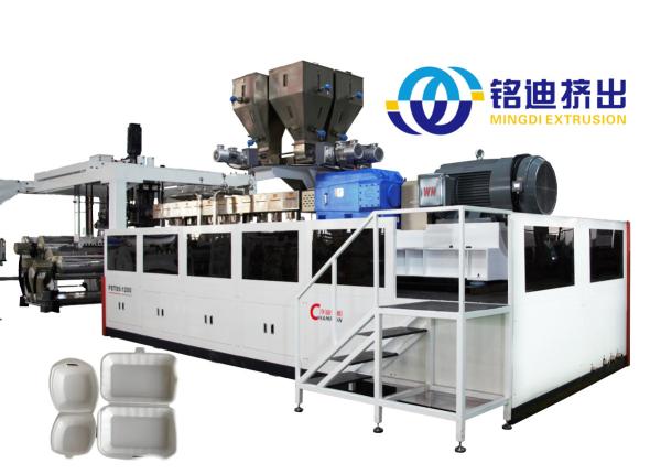 Full Automatic PET Furniture Veneer PP PS EVA Sheet Production Line SIEMENS