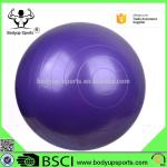 Anti Burst Yoga Gym Exercise Ball With Excellent Slip Resistance PVC Material