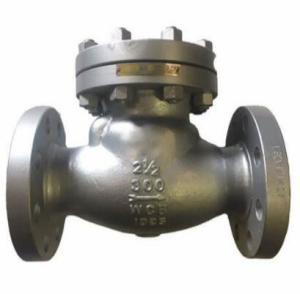 China DIN 3840 / BS EN 1868 PN16 DN400 CF8M Stainless Steel Threaded Flange Check Valve factory