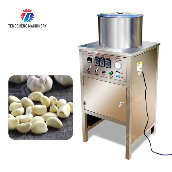 Garlic Peeling Machine garlic Destoning Peeling & polishing processing