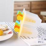 Colourful Sorbet Popsicle Ice Cream Freezer Box Homemade