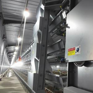 China 90birds/Set 1.5m3 Poultry Battery Cage System For Broilers Auto Feeding YXB4H120 factory