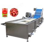 Tomato Paste Canned Food Production Line Tomato Paste Processing Machine