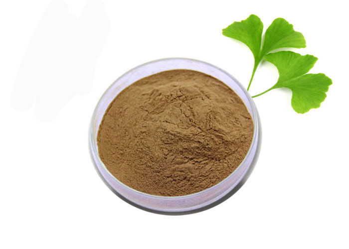 Medical Grade Anti Oxidant Pure Ginkgo Biloba Extract Powder